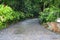 Curved rural road, surrounded by vegetation and tropical freshness