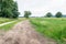 Curved sandy path in a Dutch nature reserve