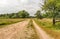 Curved sandy path in a nature reserve