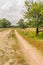 Curved sandy path in a nature reserve