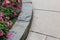 Curved slate low retaining wall beside a concrete sidewalk, blooming impatiens flowers