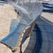 Curved Stainless Steel Park Bench and Matching Shadows