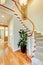 Curved staircase with hallway and hardwood floor.