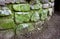 Curved Stone Retaining Wall Covered in Green Moss