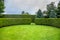 Curved thuja hedge in a garden.