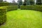 Curved thuja hedge in a garden with a meadow of green lawn spring backyard.