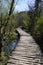 Curved timber walkway in Plitvice national park