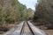 Curved train tracks railroad rail crossing woods forest