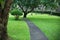 Curved walkway in green park