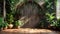 Curved wooden panels in nature\\\'s grasp.