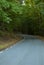 Curves on a mountain road in autumn with poor visibility due to the shadow of dangerous forest trees