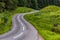 Curves on road in Scottish countryside