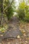 Curves of the track in the picturesque abandoned botanical park