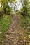 Curves of the track in the picturesque abandoned botanical park