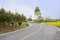 Curving asphalt countryroad in flowering spring afternoon