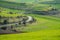 Curving asphalt road through green agricultural fields at springtime in Transylvania
