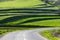 Curving asphalt road between terraced agricultural fields at springtime in Transylvania