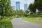 Curving asphalted pedestrian path in modern city