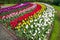 Curving bed of colourful tulips in the Keukenhof Gardens in the Netherlands