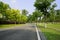 Curving blacktop road in sunny summer