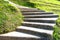 Curving Cement Stairway