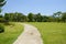 Curving concrete path in lawn before buildings in woods on sunny