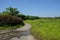 Curving countryside way in weeds and shrubs on sunny summer day