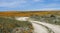 Curving Dirt Road Leads Through Bright Orange Poppy Field under Blue Sky