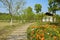 Curving flagstone path before cabin at sunny spring noon