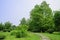 Curving flagstone path on grassy lawn in sunny summer