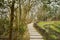 Curving flagstone pavement along stream in early spring