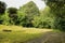 Curving flagstone pavement in grassy lawn on sunny day