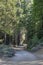 Curving Foot path trail in Yosemite National Park