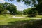 Curving footpaths in grassy lawn on sunny summer day