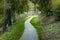 Curving Forest Footpath