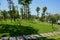 Curving lakeside path in lawn on sunny summer day