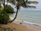 Curving Palm on Molokai south shore