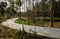 Curving path in woods outside rural tile-roofed buildings in sun