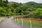 Curving planked walkway ascending in woody mountain in cloudy summer