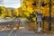 Curving Railway Track and Colourful Autumn Trees