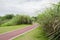 Curving red-painted greenway in Lujiatan Park on cloudy day after rain