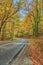 Curving Road Through Smoky Mountain Autumn Splendor