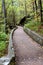 Curving Walkway at Blanchard Springs