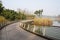 Curving waterside footbridge in sunny winter afternoon