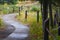 Curvy Boardwalk Walking Path, Kohler-Andrae State Park