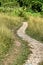 Curvy Dirt Path In Grassy Field