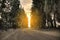 Curvy dirt road at a cloudy day with beautiful sunset, going through a forest