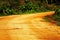 A curvy dirt road  at a cloudy day going through a forest,Arunachal Pradesh