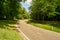 Curvy empty road in summer by nature