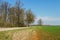 Curvy gravel road .